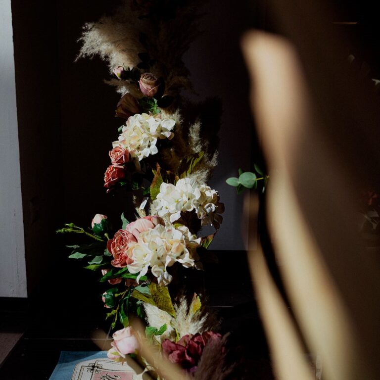 Orchidea_010