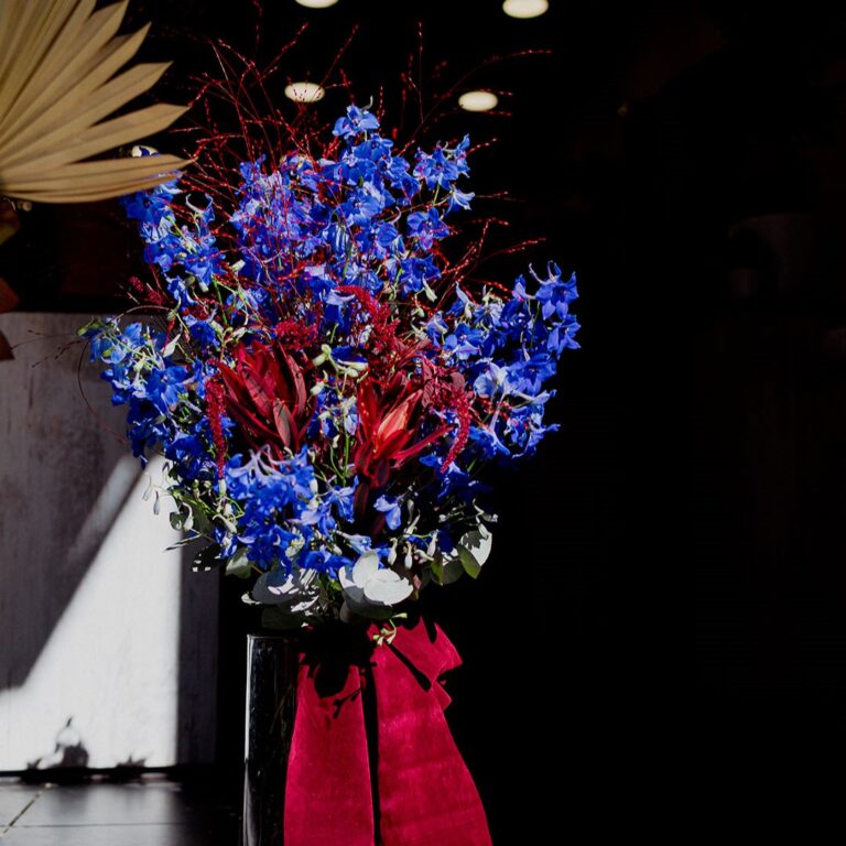 Orchidea_014.1