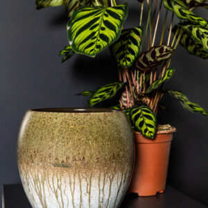 Porta Vaso Verde Colato